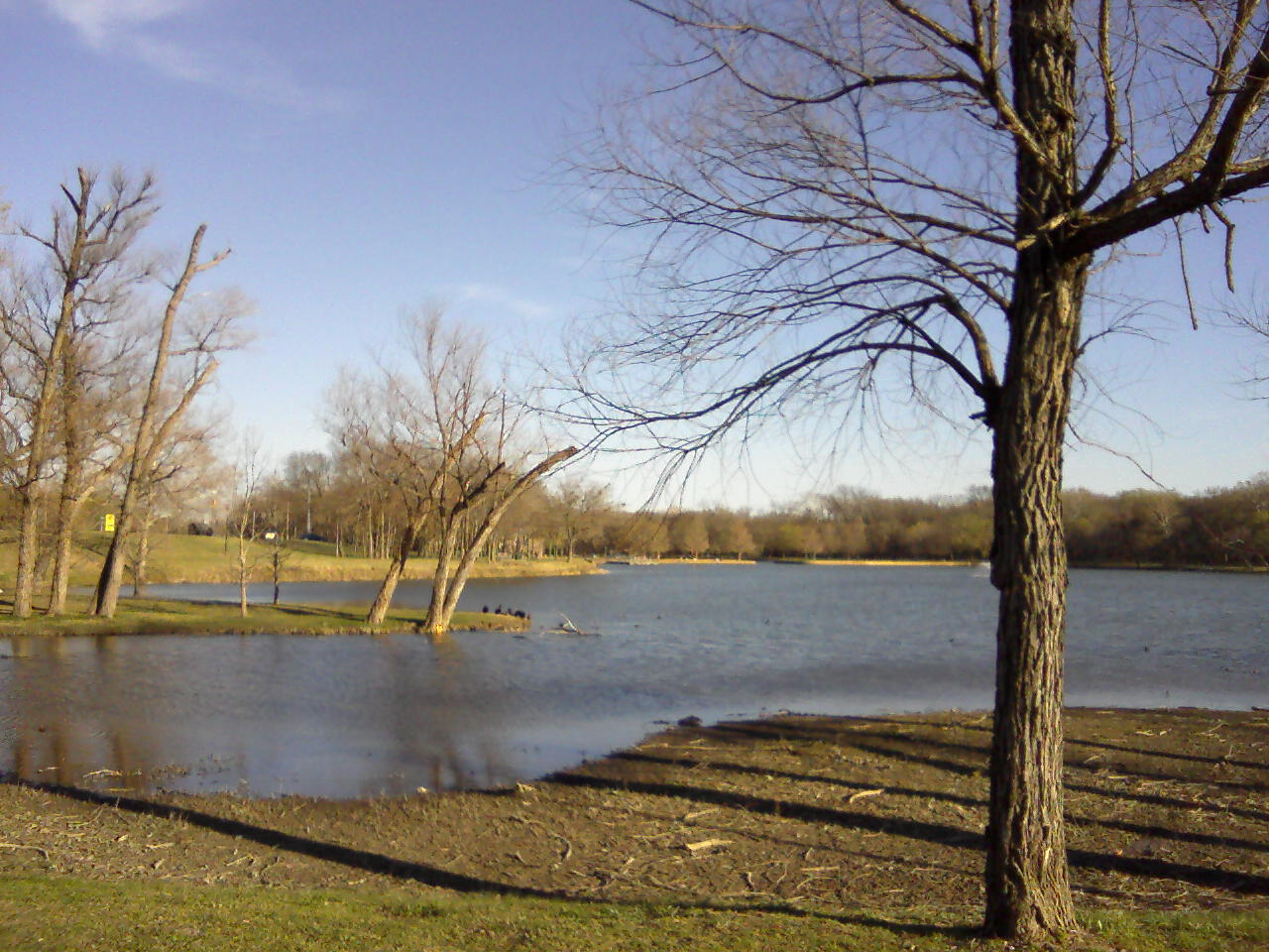 View from the Passenger Window Wilson Creek Trail, McKinney