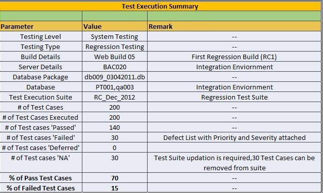 Test Case Execution Report Template