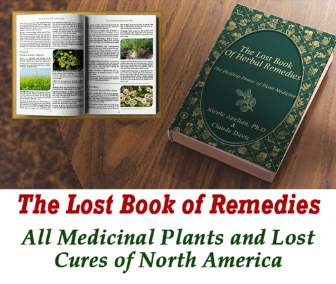 The Lost Book of Remedies