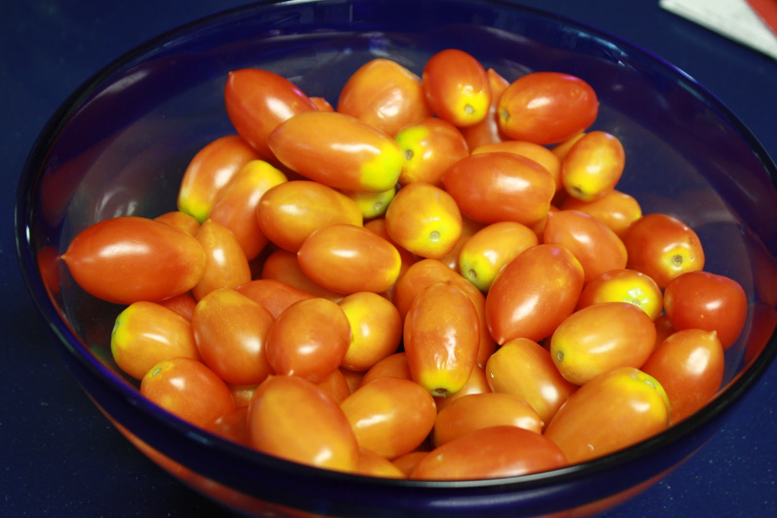 Life with the Mozas Homemade Tomato Bouillon