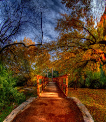 nature most beauty fascinating amazing landscape natural breathtaking dreamer fear flash feedpuzzle sharing flickr autumn magical colors leaves tsipas edit