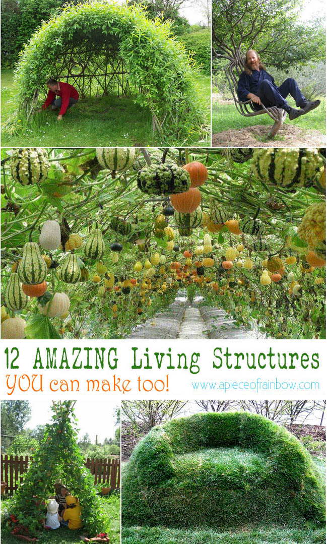 Living Willow Tunnel For Garden and Backyard Everything About Garden