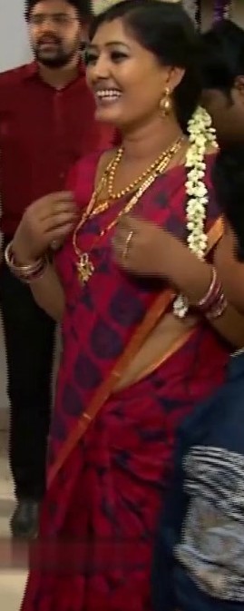 Priyamanaval Serial Cast Real Name Priyamanaval Serial Cast Real Name