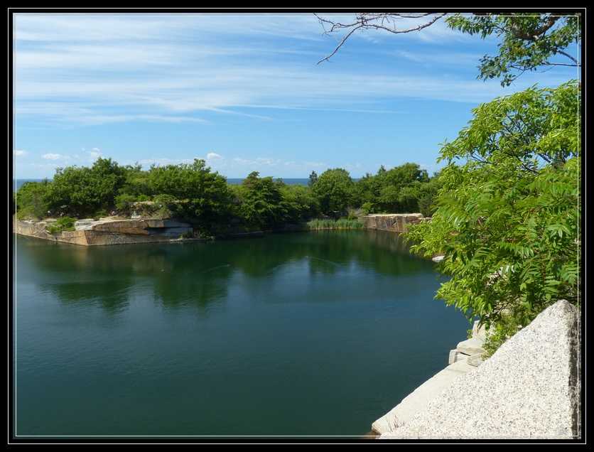 Are Dogs Allowed At Halibut Point State Park