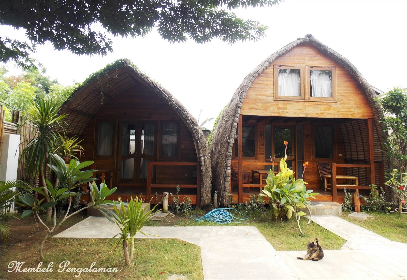 Pengalaman Menginap Di Cotton Tree Cottage Gili Trawangan Lombok