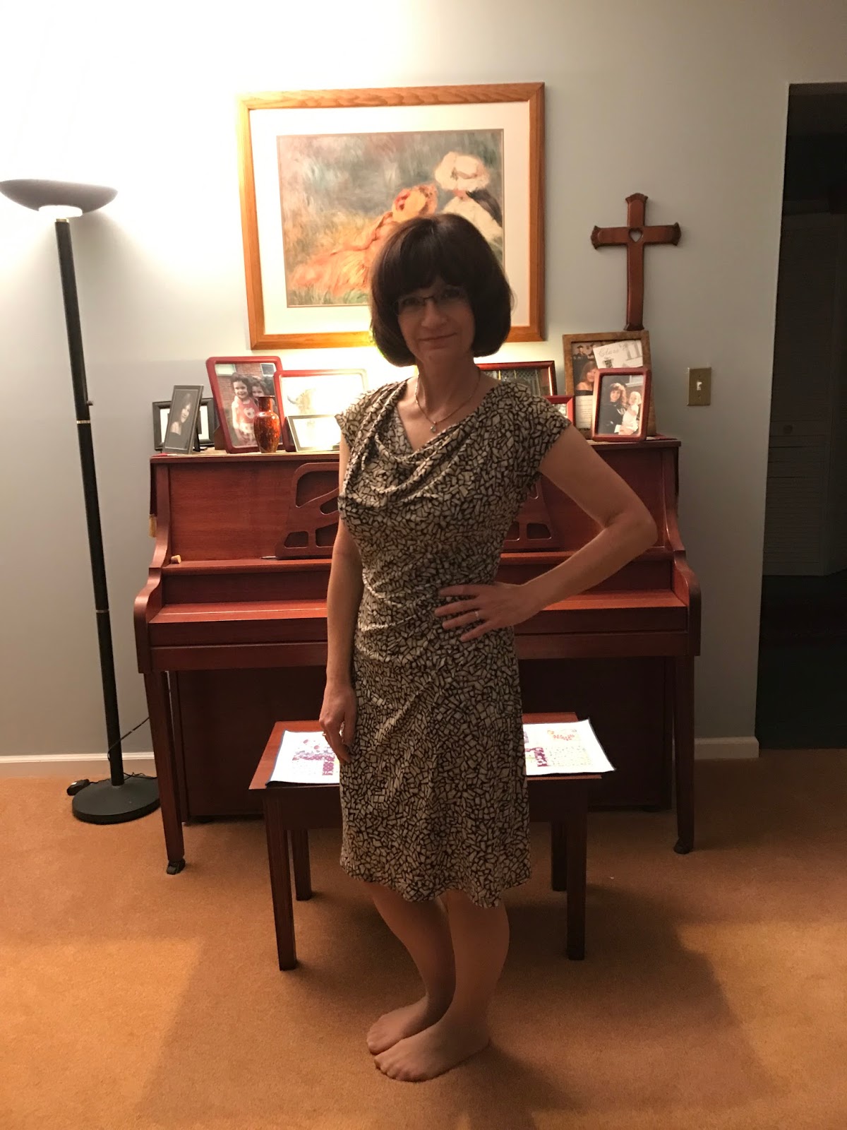 Albany NY Chapter of the American Sewing Guild Show and Tell before 2018