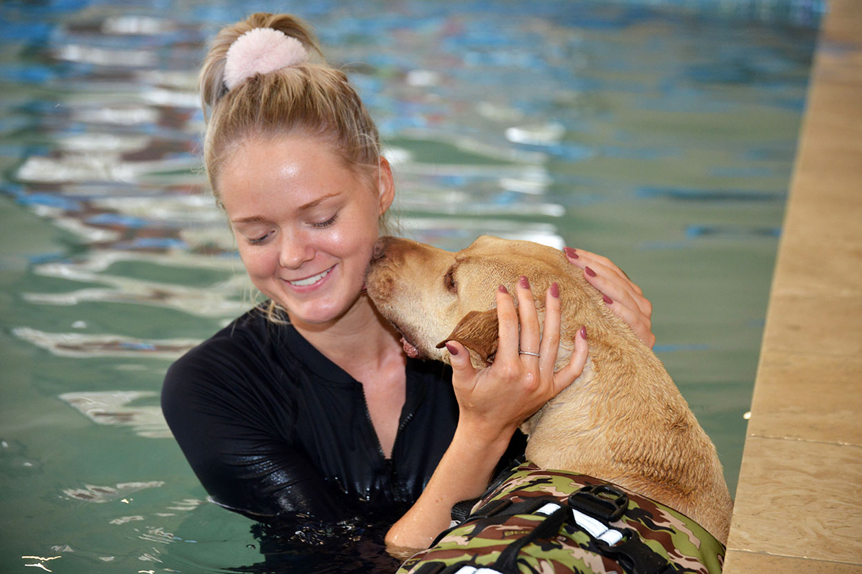 Labrador Retriever gives a kiss to K9 Swim staff whilst swimming in the pool
