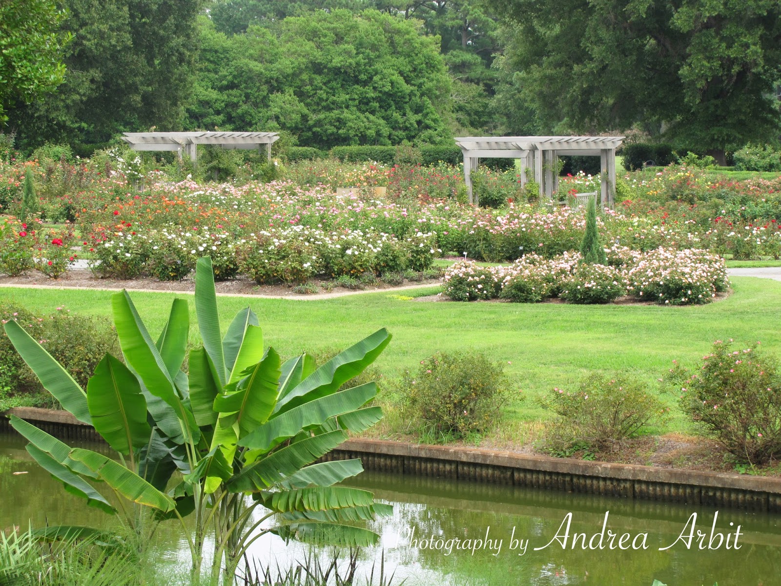 Until the Water Falls Norfolk Botanical Gardens (Post 3)