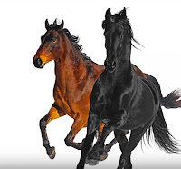 Terjemahan Lirik Lagu Lil Nas X - Old Town Road (feat. Billy Ray Cyrus
