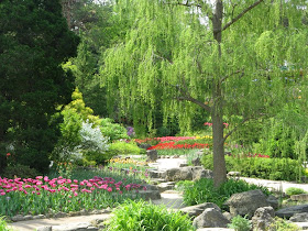 Royal Botanical Gardens tulips Rock garden by garden muses-not another Toronto gardening blog