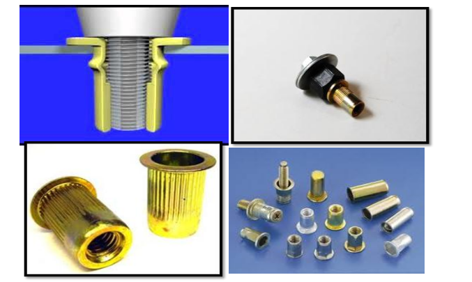 Rivet Nut - Our Akuntansi