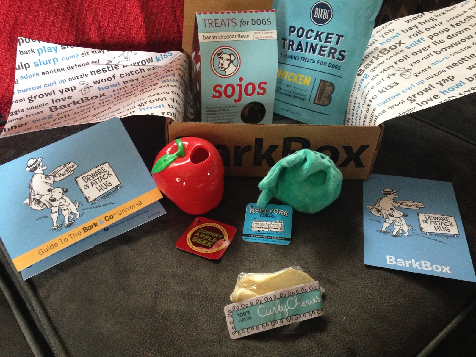 Dog Owner Central Bark Box review