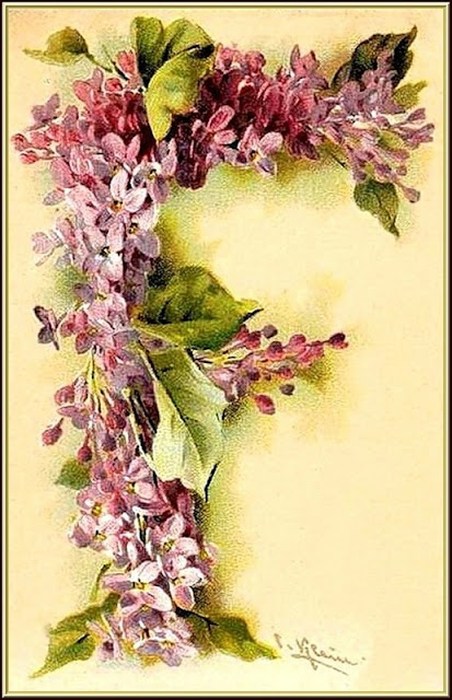 Цветочный алфавит Катарины Кляйн