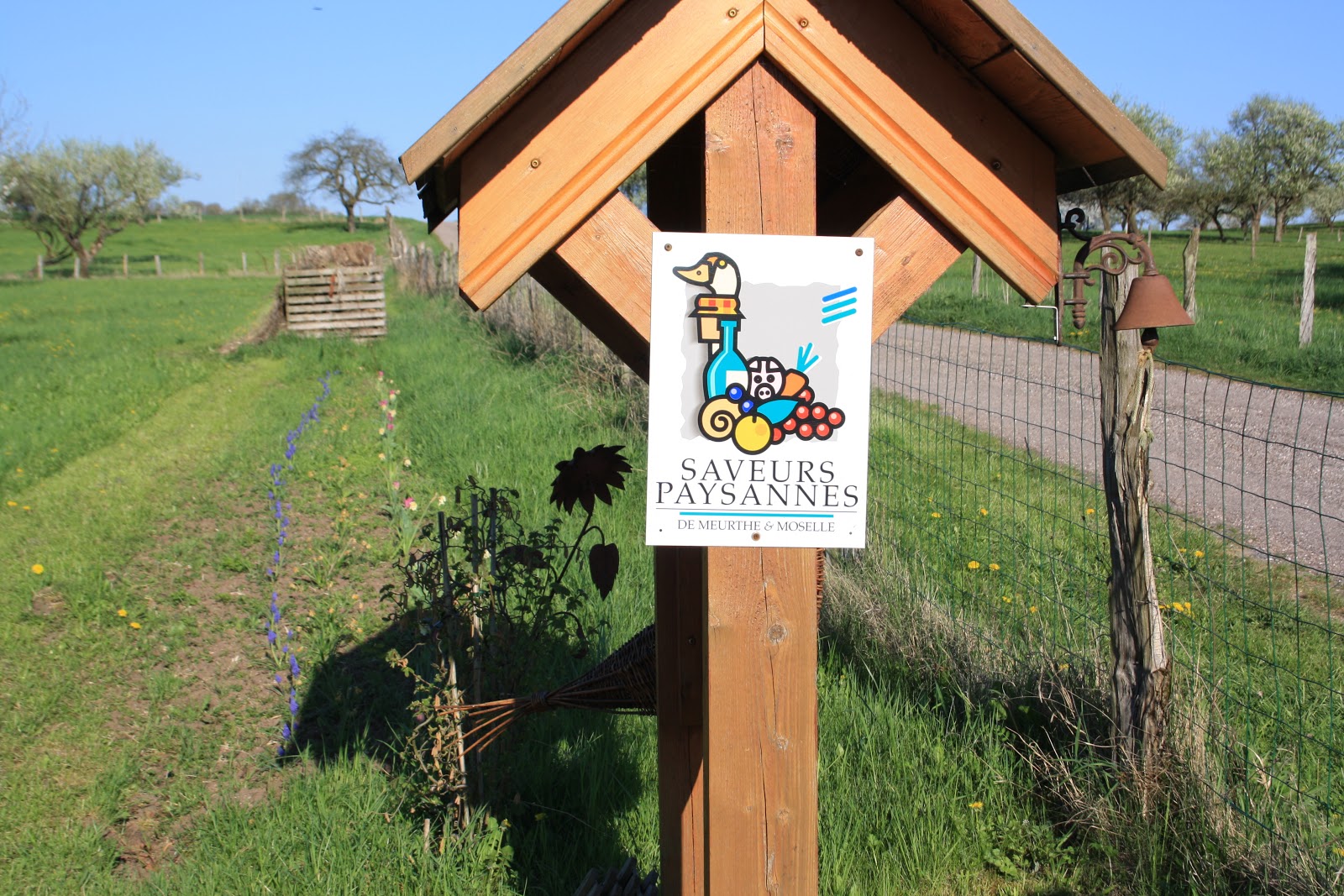 Le jardin des Fées: Des nouvelles du jardin