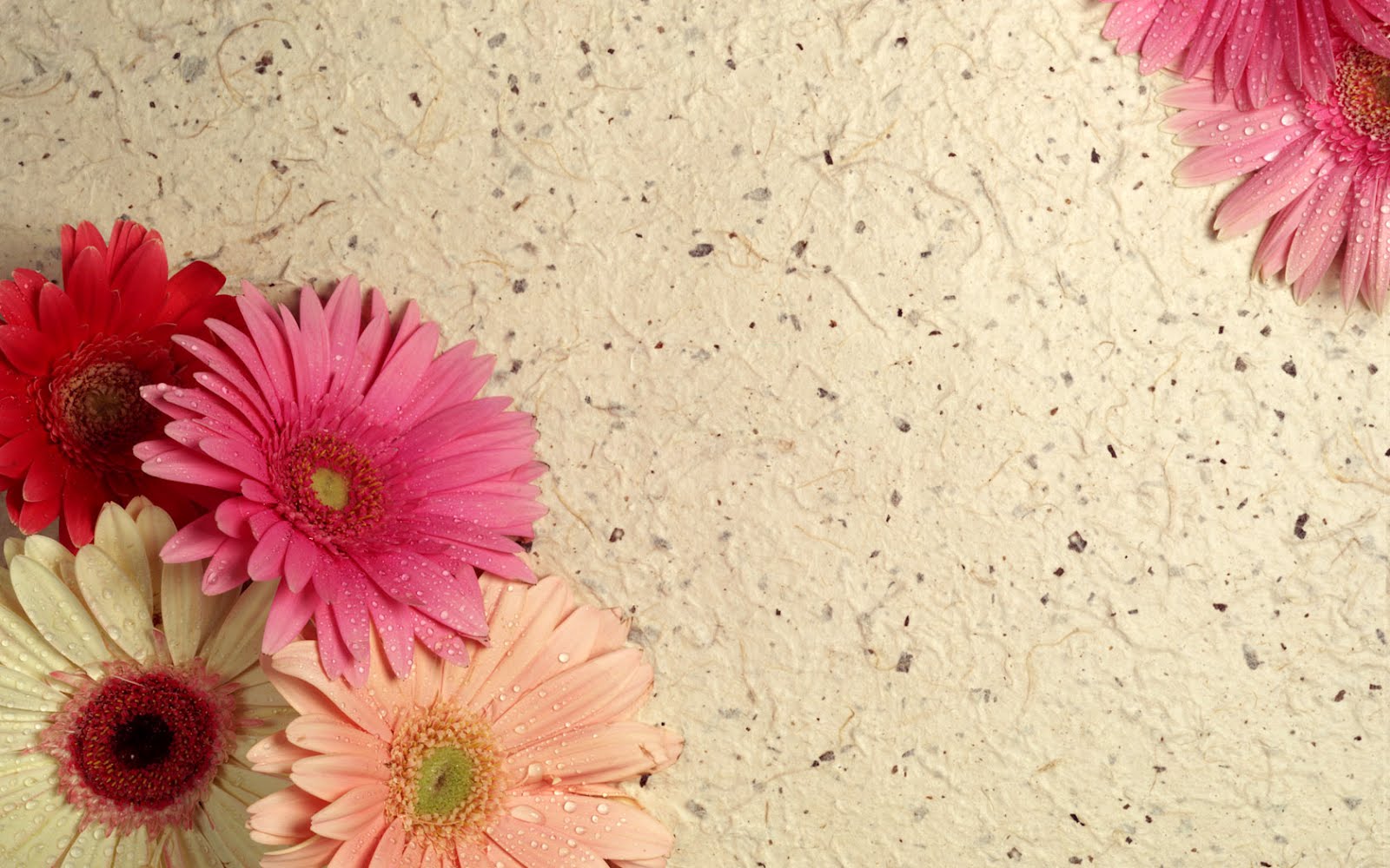 idool 18 imágenes de flores para el Día de las Madres | wallpaper hd windows