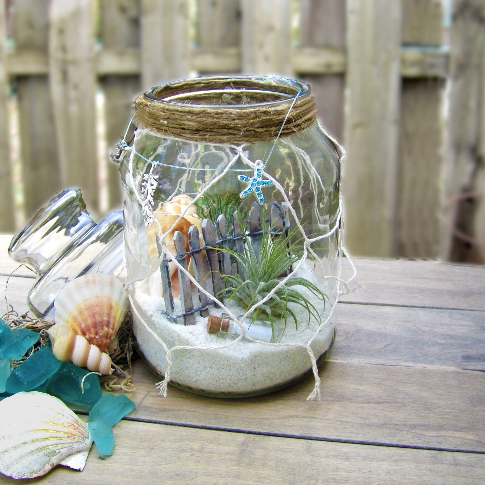 nautical coastal terrarium air plants tillandsia beach apothecary or mason jar