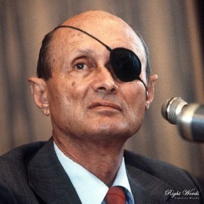 Moshe Dayan Net Worth