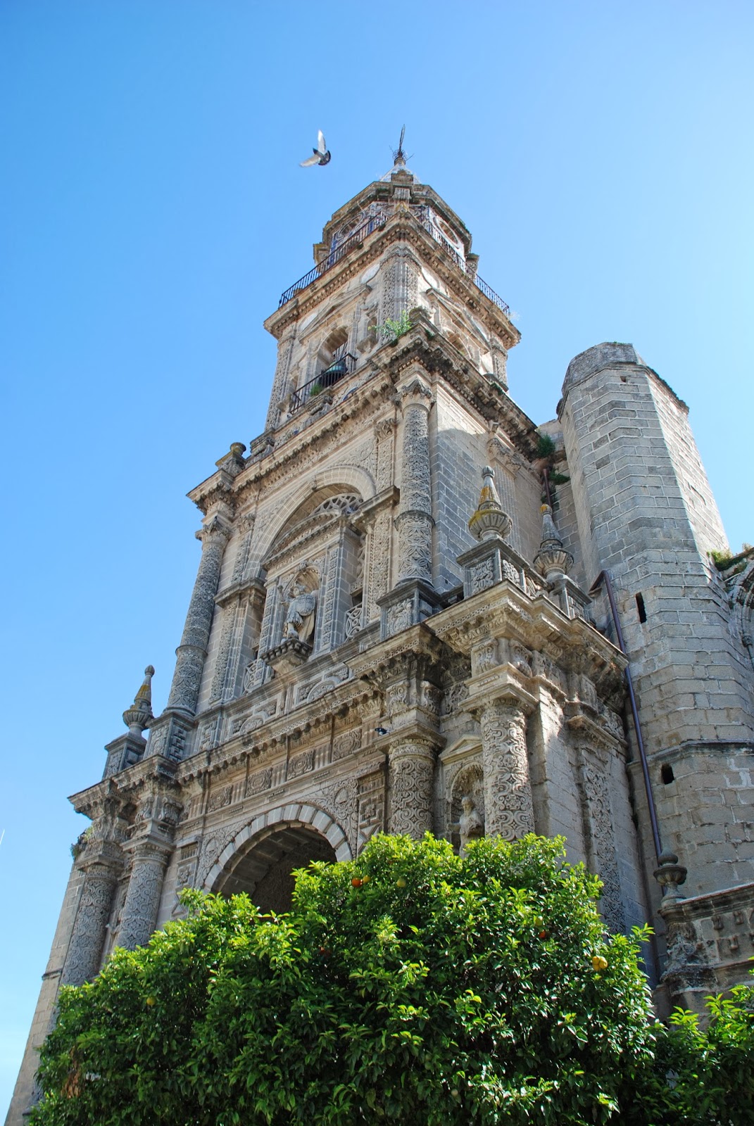 FOTOGRAFIAS DEL MUNDO Barrio de San Miguel de Jerez de la Frontera FOTOGRAFIAS DEL MUNDO Barrio de San Miguel de Jerez de la Frontera