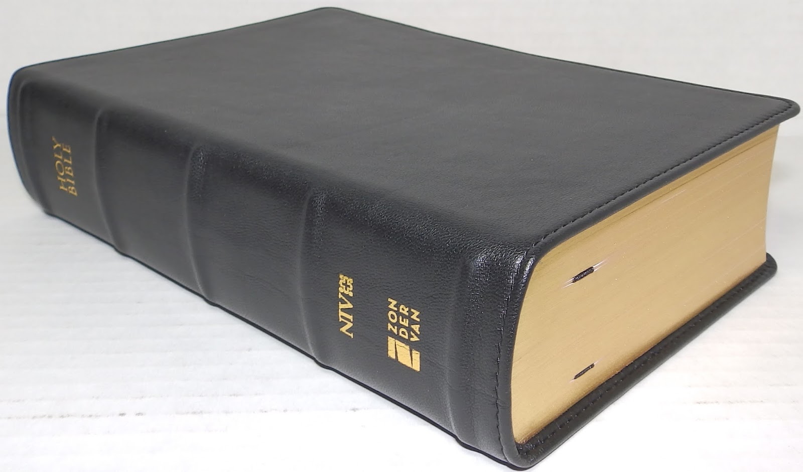 The Bible Hunter: Zondervan NIV Giant Print Compact Bible