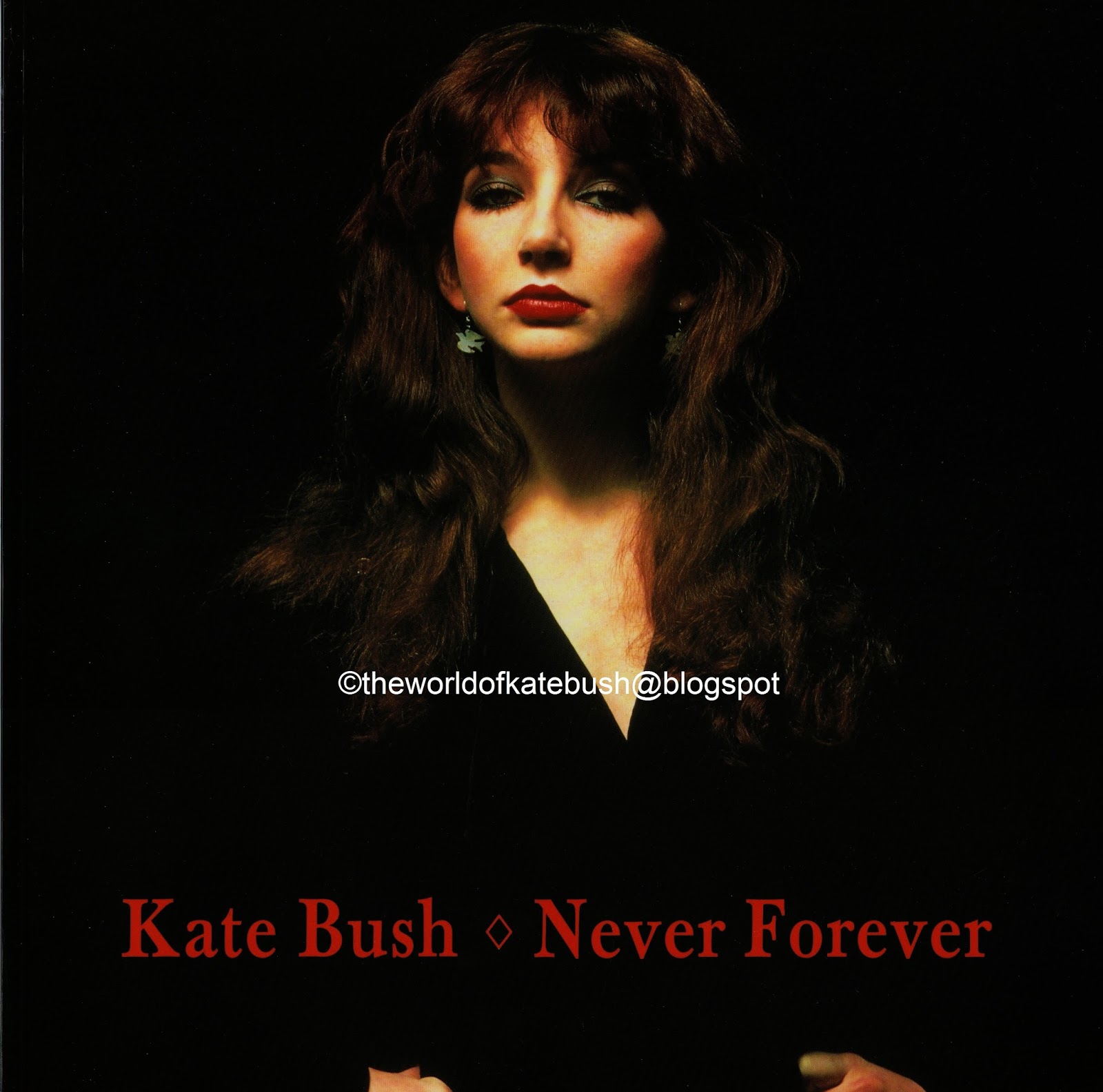 THE WORLD OF KATE BUSH Never Forever Box Set