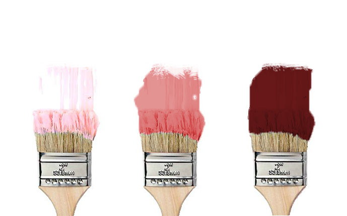 Proyecto decorativo paleta de color