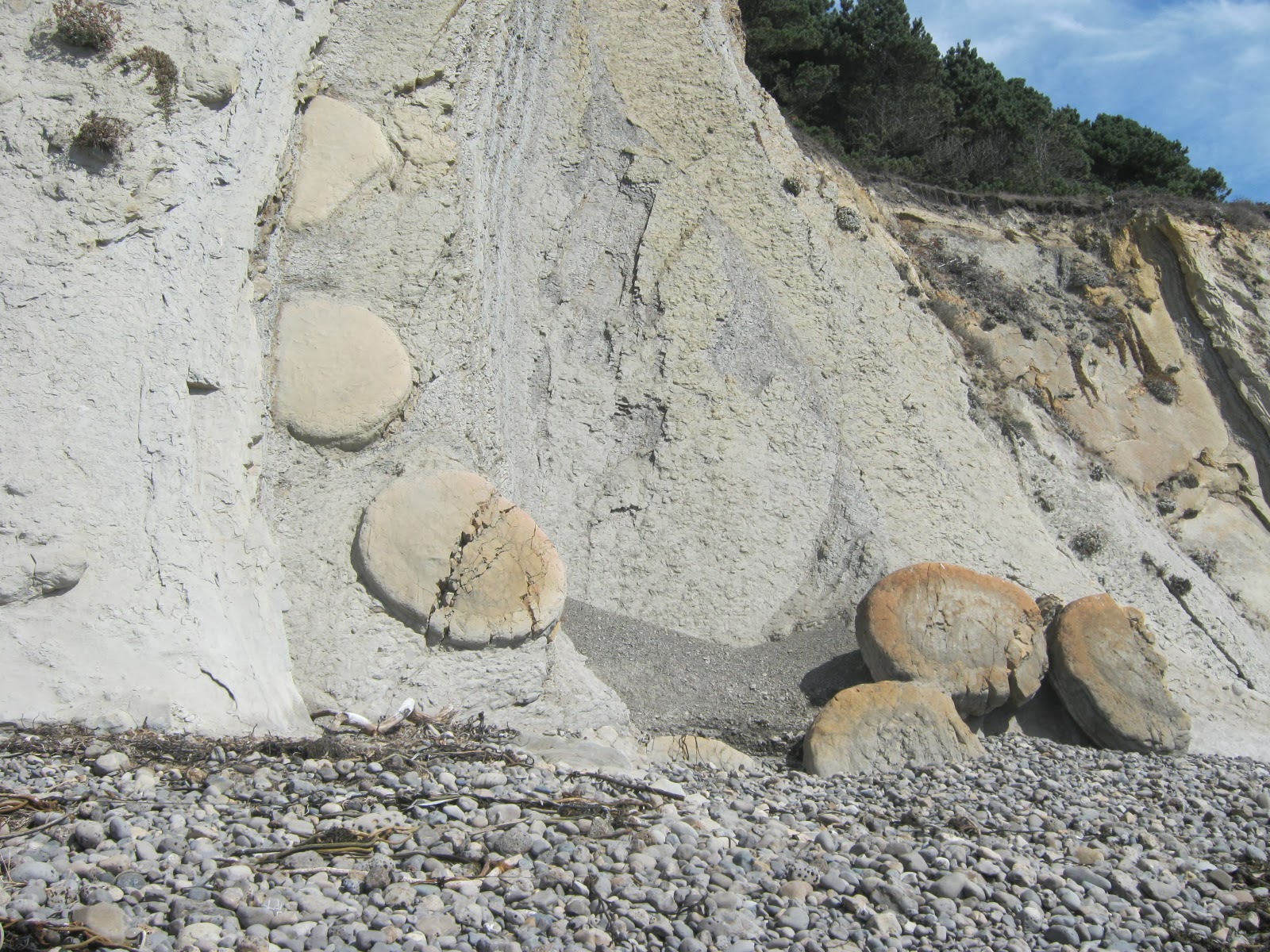 Mendonoma Sightings Bowling Ball Beach is always fascinating!