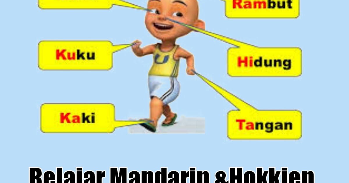 Kosakata Anggota Badan Dalam Bahasa Mandarin & Hokkien - BELAJAR MANDARIN