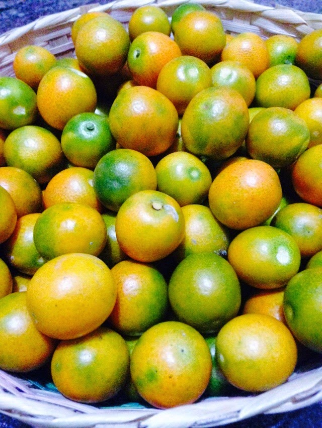 Taste of Nepal Glossary of Common Fruits of Nepal (EnglishNepali) Part 2