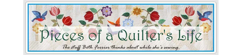 Pieces of A Quilter's Life