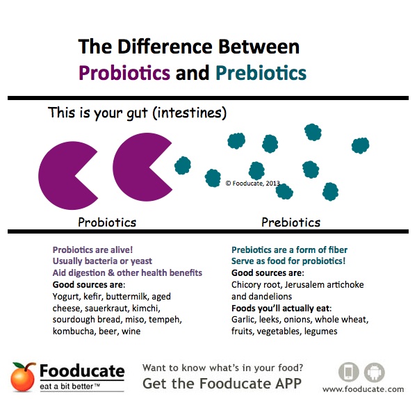 Really It Works! What is the Difference Between Probiotics and Prebiotics?