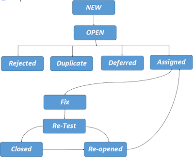 bug life cycle diagram