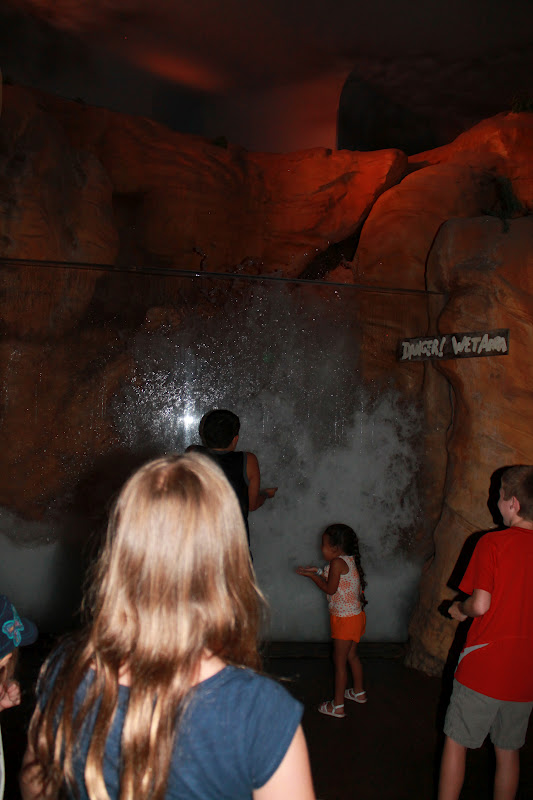 A Trip to the Aquarium