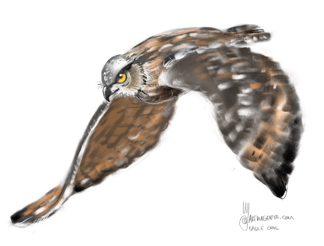 Eagle owl bird painting by Artmagenta