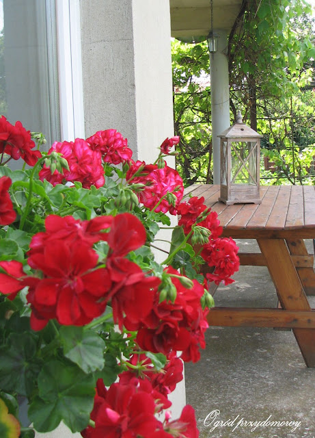 ogrodowe strefy relaksu, drewniana pergola, drewniany stół, ogród przydomowy, srefy relaksu w ogrodzie, miejsce wypoczynku