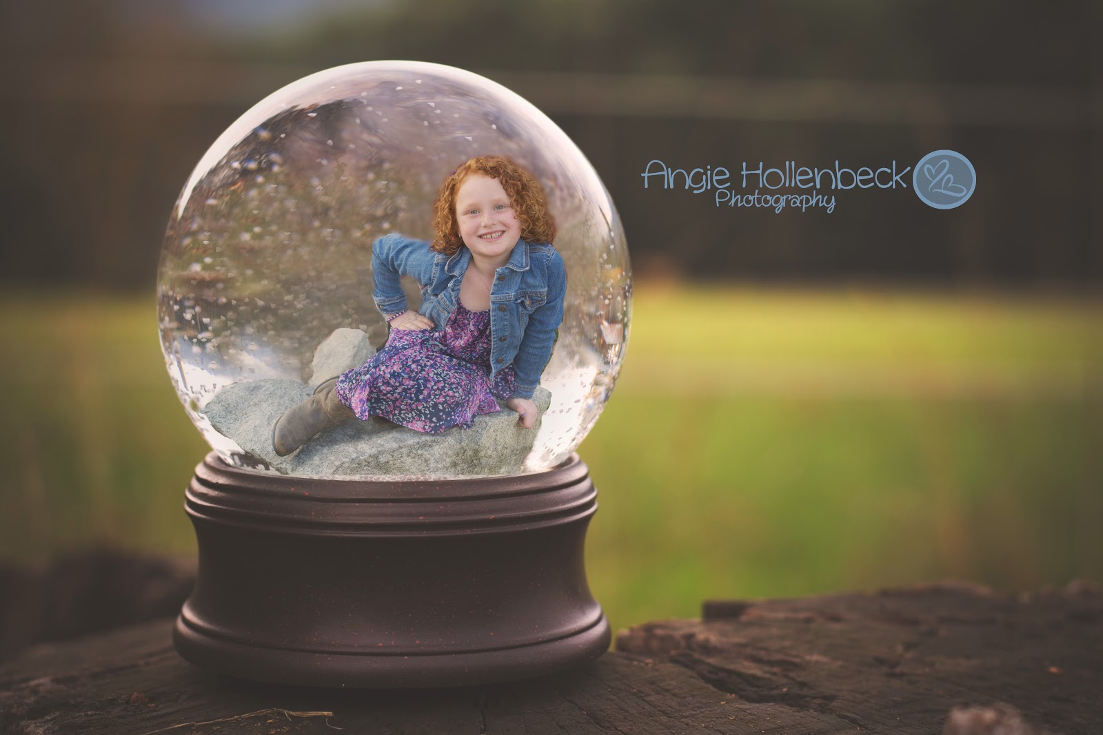Angie Hollenbeck Photography, The Blog Snow Globes Here, Snow Globes