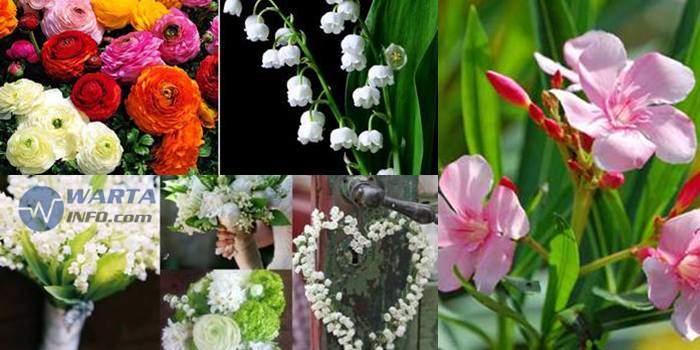 5 Bunga Cantik Indah Paling Beracun dan Mematikan di Dunia 