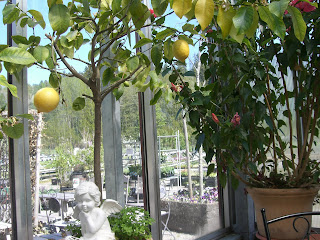 %25C3%2596smo%2Bblombutik - God lunch i blomsterbutik i Ösmo