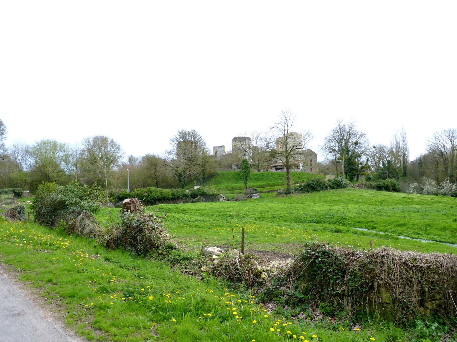 Château de Coudray-Salbart