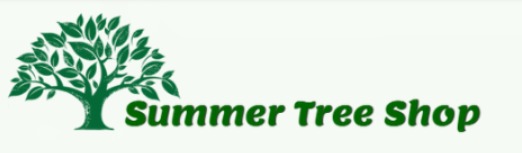 Visit Summer Tree on Amazon