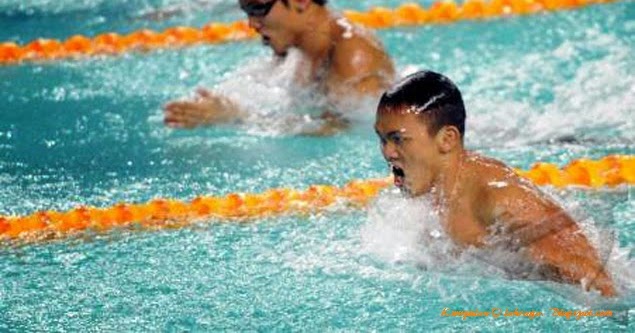 Teknik Renang Gaya Dada - Kumpulan Olahraga