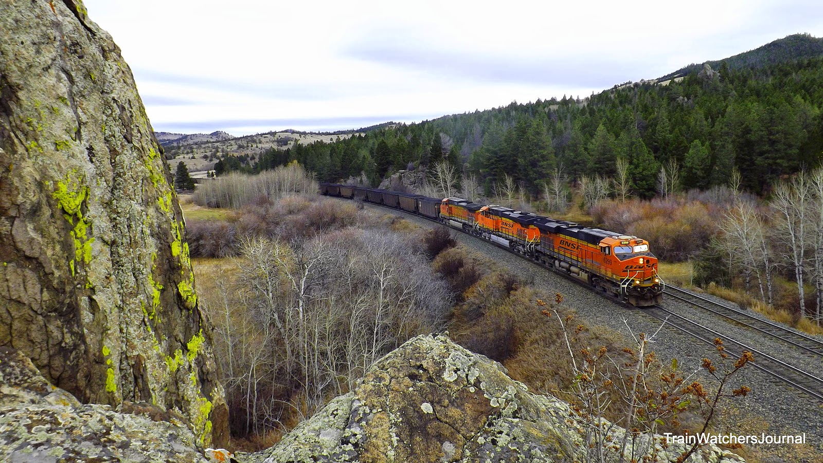 TrainWatchersJournal MRL Fall Birdseye Austin
