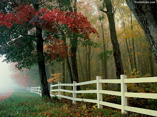 Nature-Autumn-Wallpapers