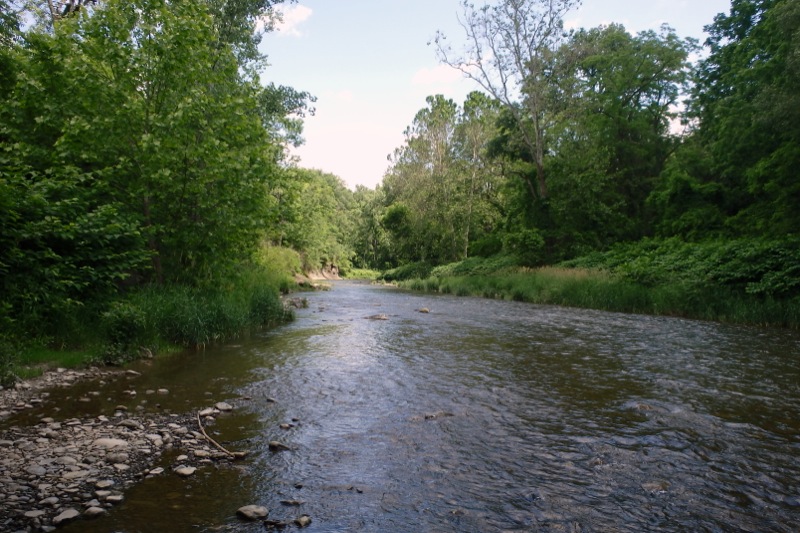 Life in the Slow Lane (The Pearl) June 28 Salmon Creek, Lansing, NY