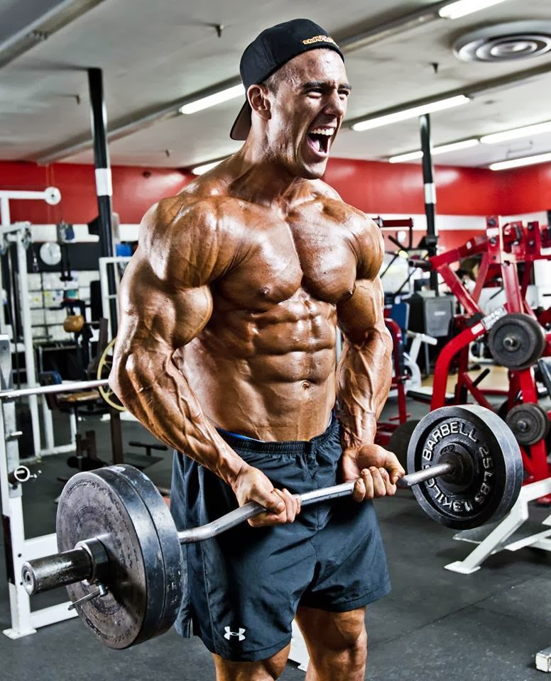 французский жим лежа на скамье. жим гантелей лежа на наклонной. 4 подхода по 10. 4 подхода по 10. тяга гантелей в наклоне.