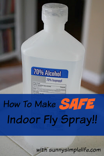 Sunny Simple Life: Best Homemade Indoor Fly Spray