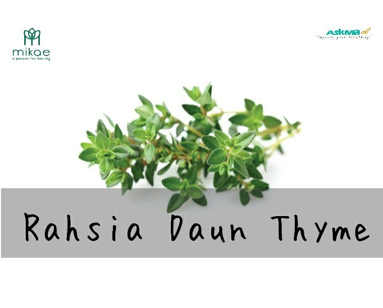 Ketahui Rahsia Daun Thyme dalam kehidupan kita.
