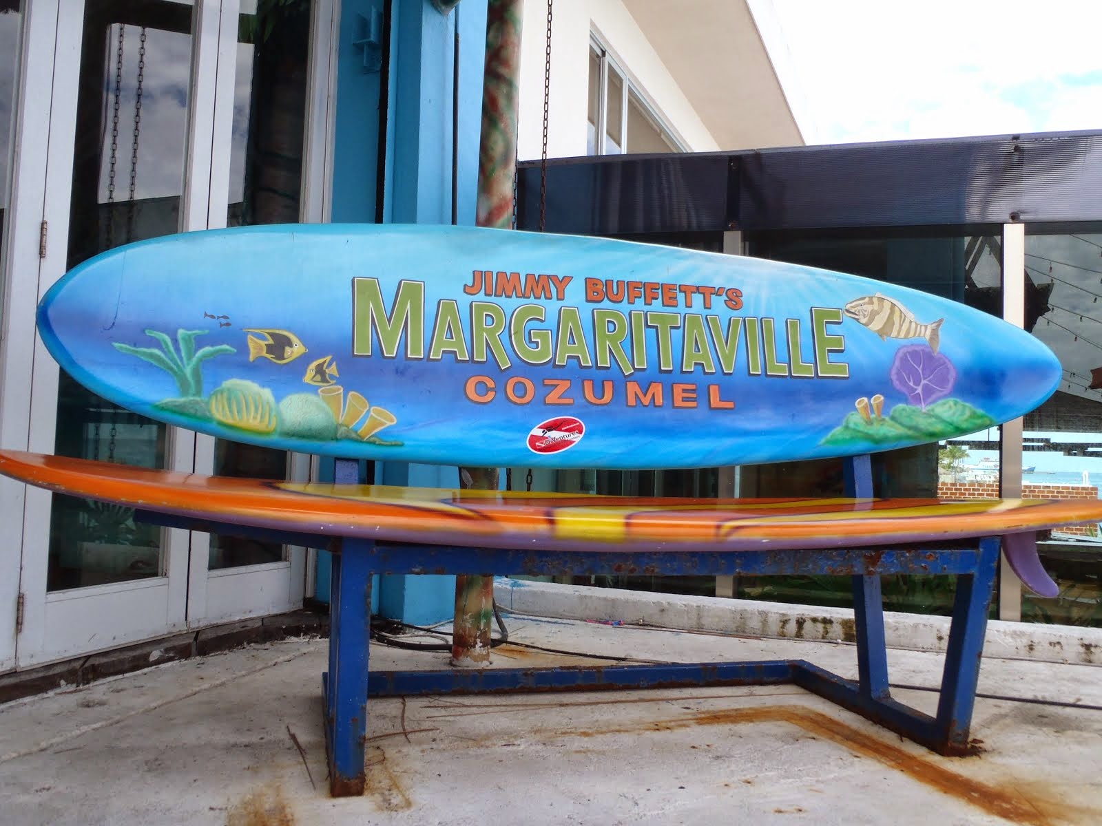 Places You'll Go Wrapping Up Puerto Rico