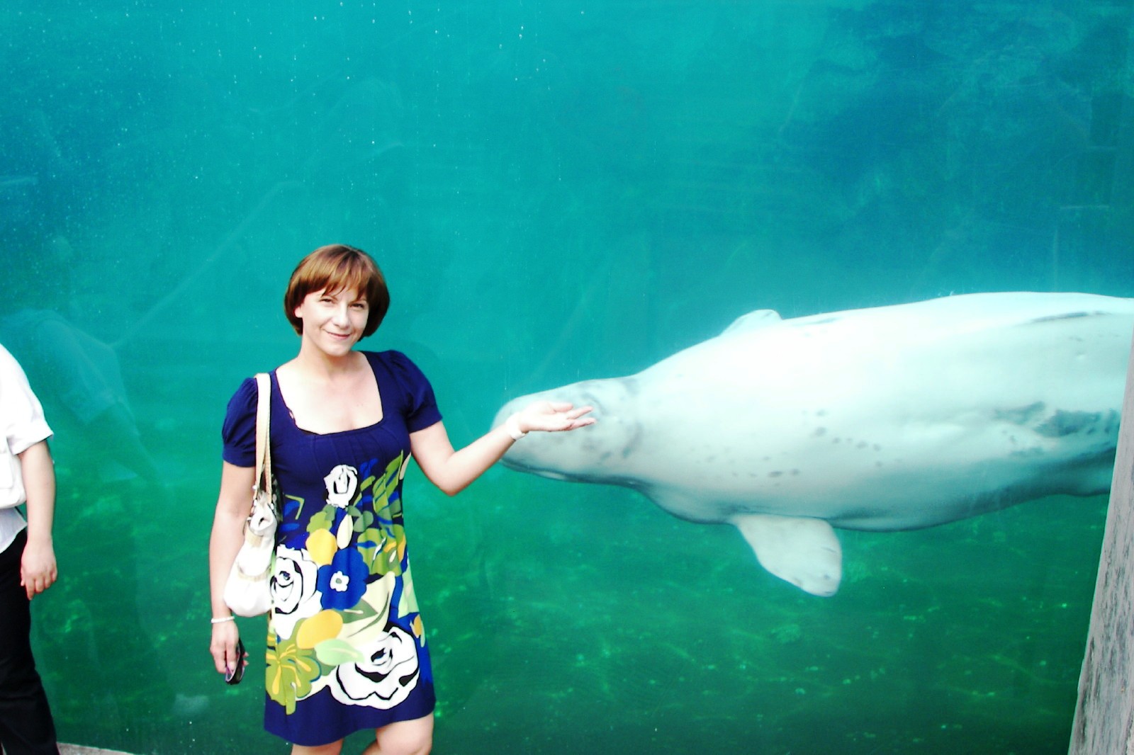 Podróże po Nowej Angli. MYSTIC AQUARIUM CT