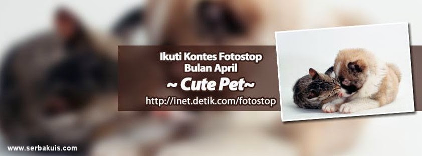 Kontes Foto Cute Pet Berhadiah Uang 500 Ribu