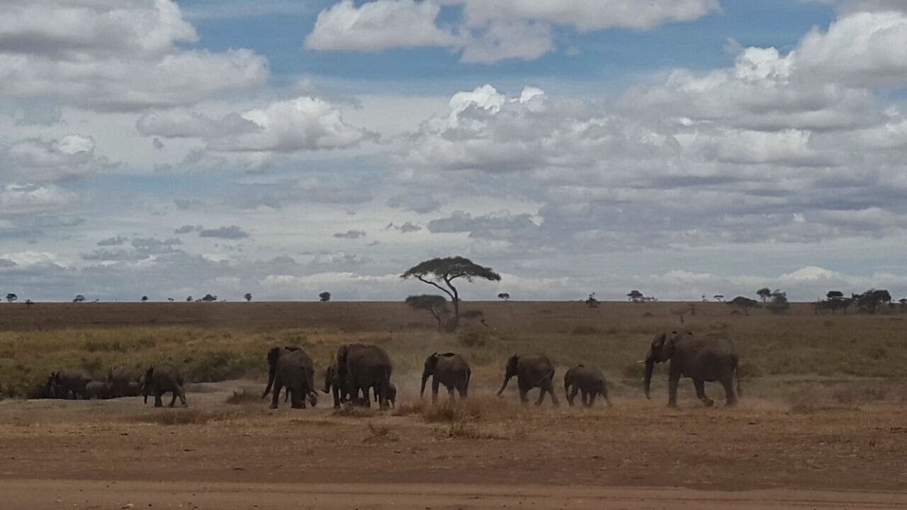 The Wind and the Lion 1975 - Trivia - IMDb